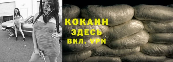 ГАЛЛЮЦИНОГЕННЫЕ ГРИБЫ Козловка