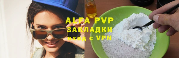 ГАЛЛЮЦИНОГЕННЫЕ ГРИБЫ Козловка