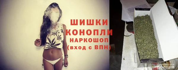 сатива Вуктыл