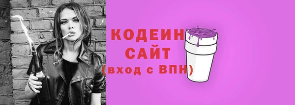 ГАЛЛЮЦИНОГЕННЫЕ ГРИБЫ Козловка