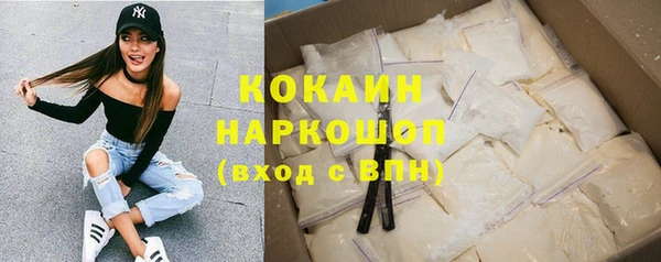 ГАЛЛЮЦИНОГЕННЫЕ ГРИБЫ Козловка